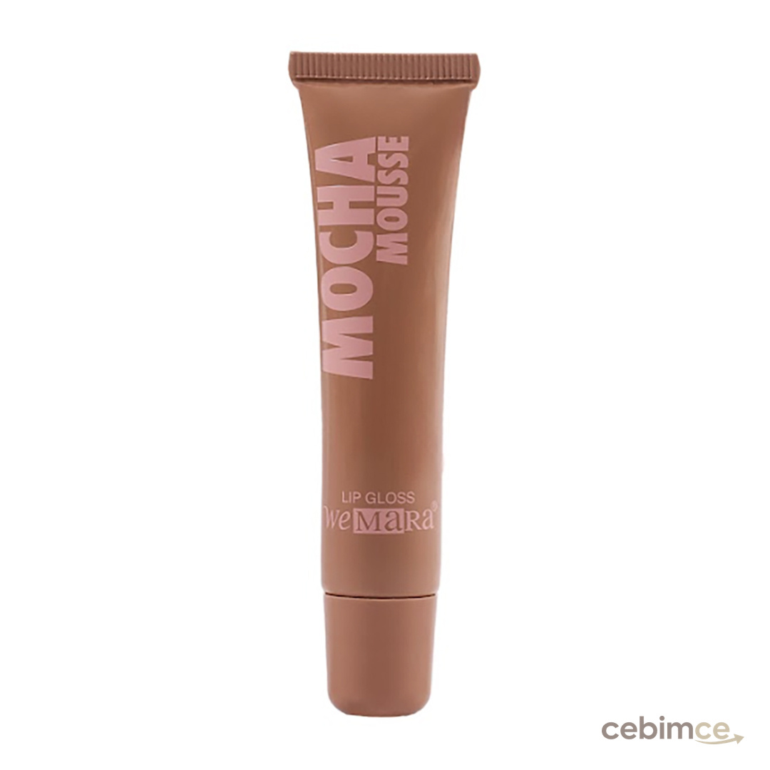 Wemara Mocha Mousse Lip Gloss