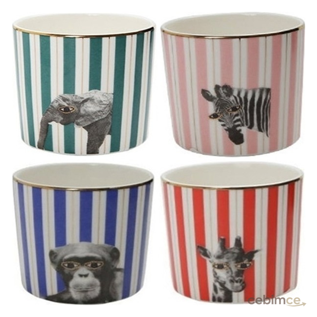 Porland Wild Life 4'lü Bardak Takımı Desenli Porselen Renkli 230 cc Pop-Art Tasarım