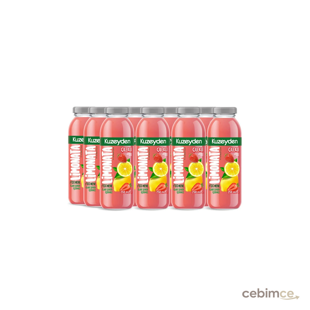 Çilekli Limonata | 12x250ml | İlave şeker, katkı ve koruyucu madde içermez | 12 Adet | %100 Meyve