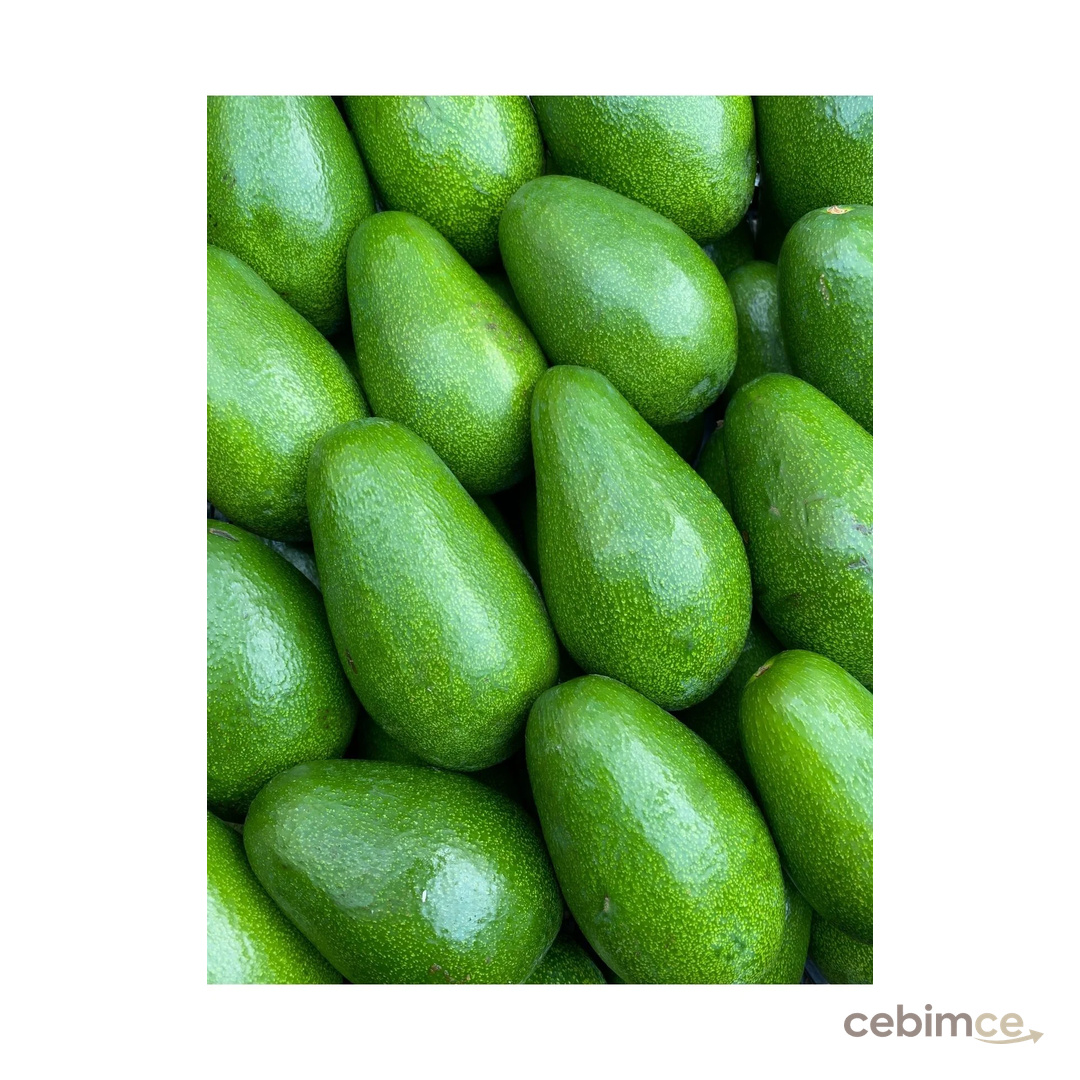 ADKTROPİKAL 1 KG AVOKADO ANAMUR YENİ MAHSUL