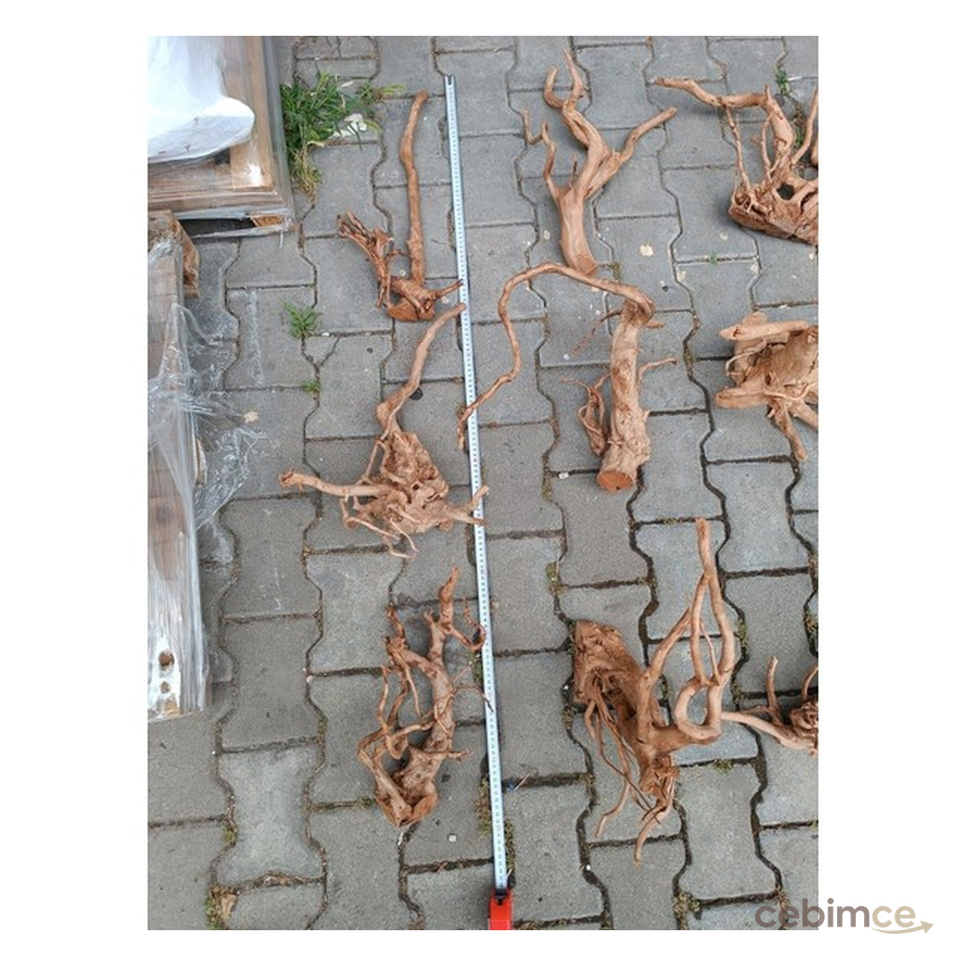 Netx Çöl (Yati) Kütüğü Bağ 35-45 cm
