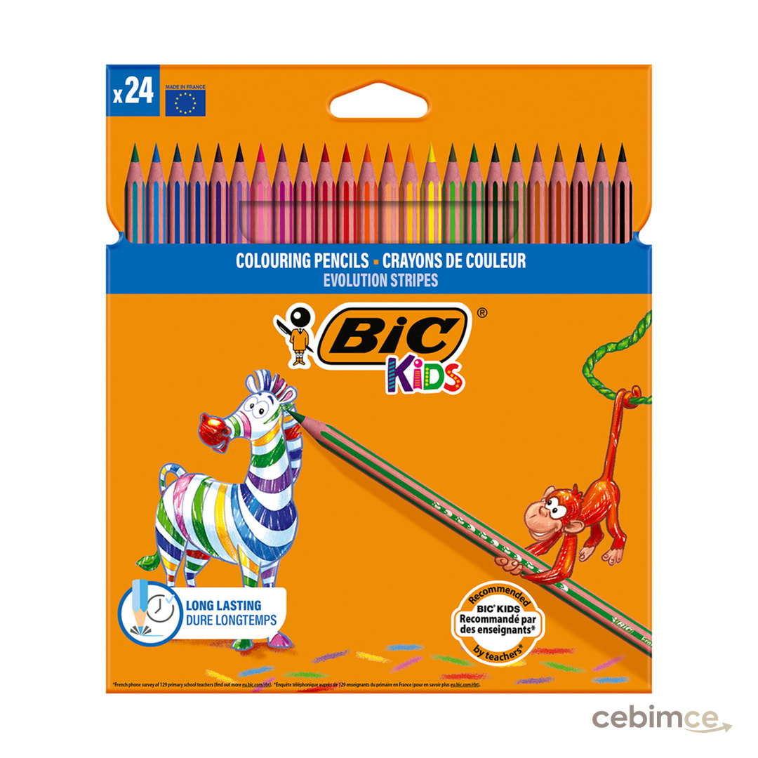Bic Stripes Kuru Boya Kalemi 24'lü